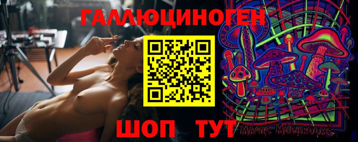 Тосно  Псилоцибиновые грибы MAGIC MUSHROOMS  Псилоцибиновые грибы мицелий  Вход с VPN 